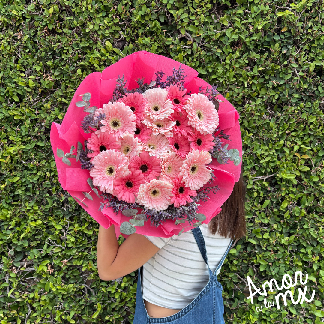 Razones para elegir Amor a la Mx