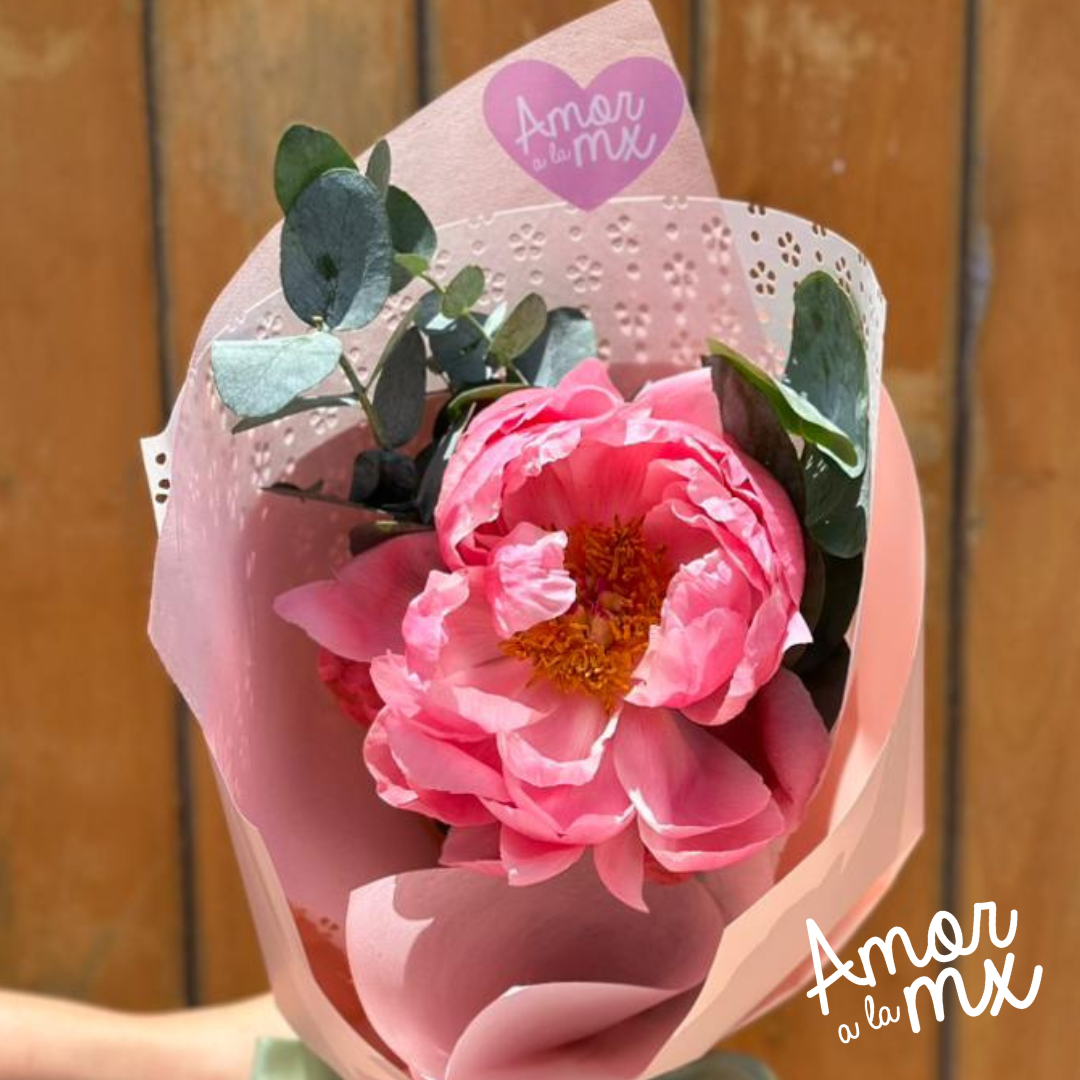 Peonia